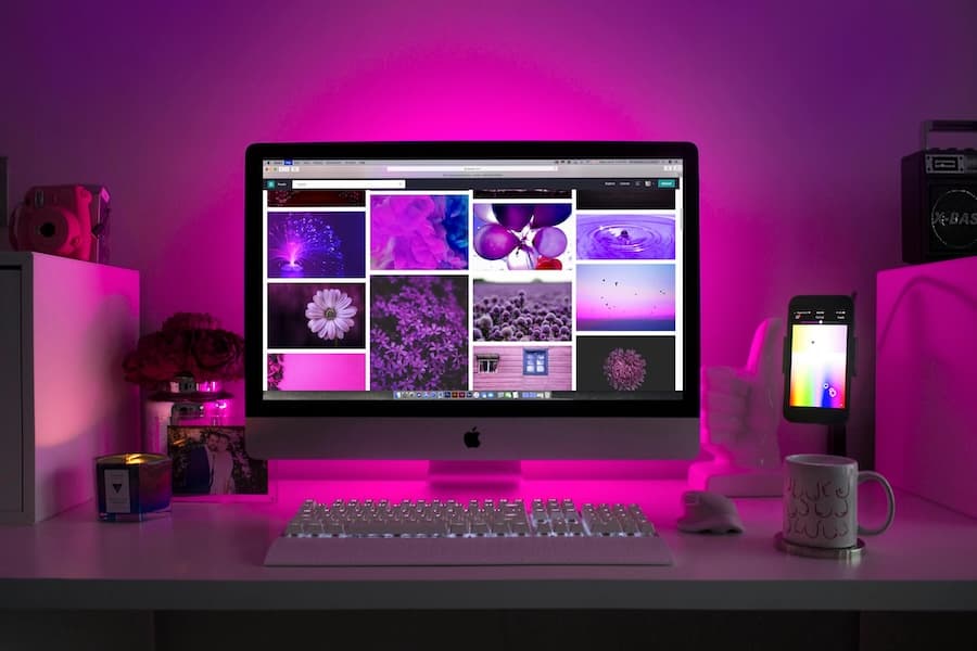 Webdesign & Entwicklung